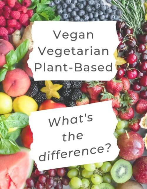 vegan vegeterijanac razlika