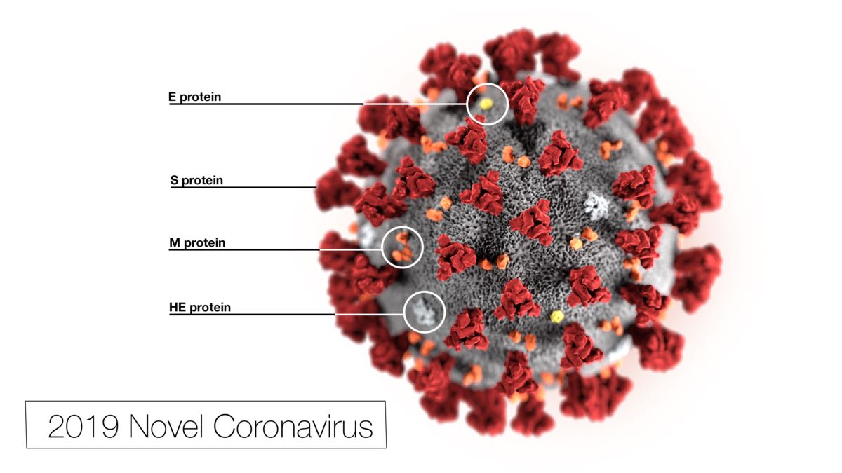 Korona virus COVID 19