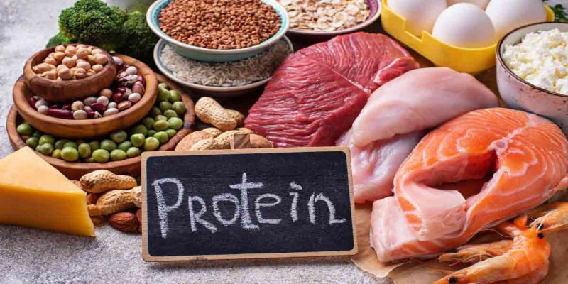 izvor proteina