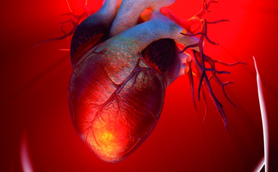 lupus i bolesti srca