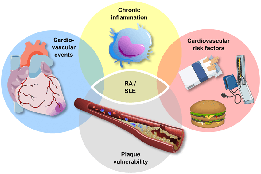 Atherosclerosis and chronic inflammatory disease Patients with chronic inflammatory