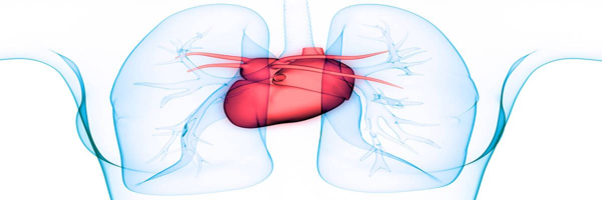 Plućna hipertenzija: koji su uzroci i skupine ove bolesti
